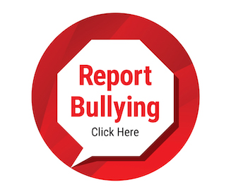 Anti-bullying Report